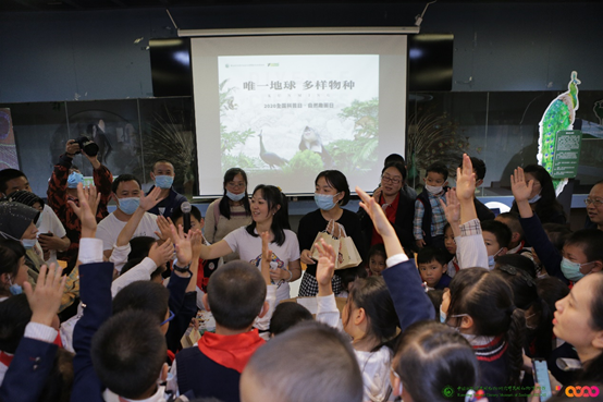 电子游戏app下载安装