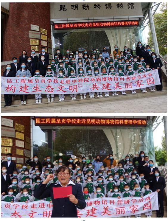 电子游戏app下载安装