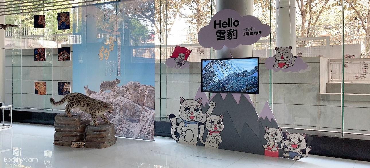 电子游戏app下载安装