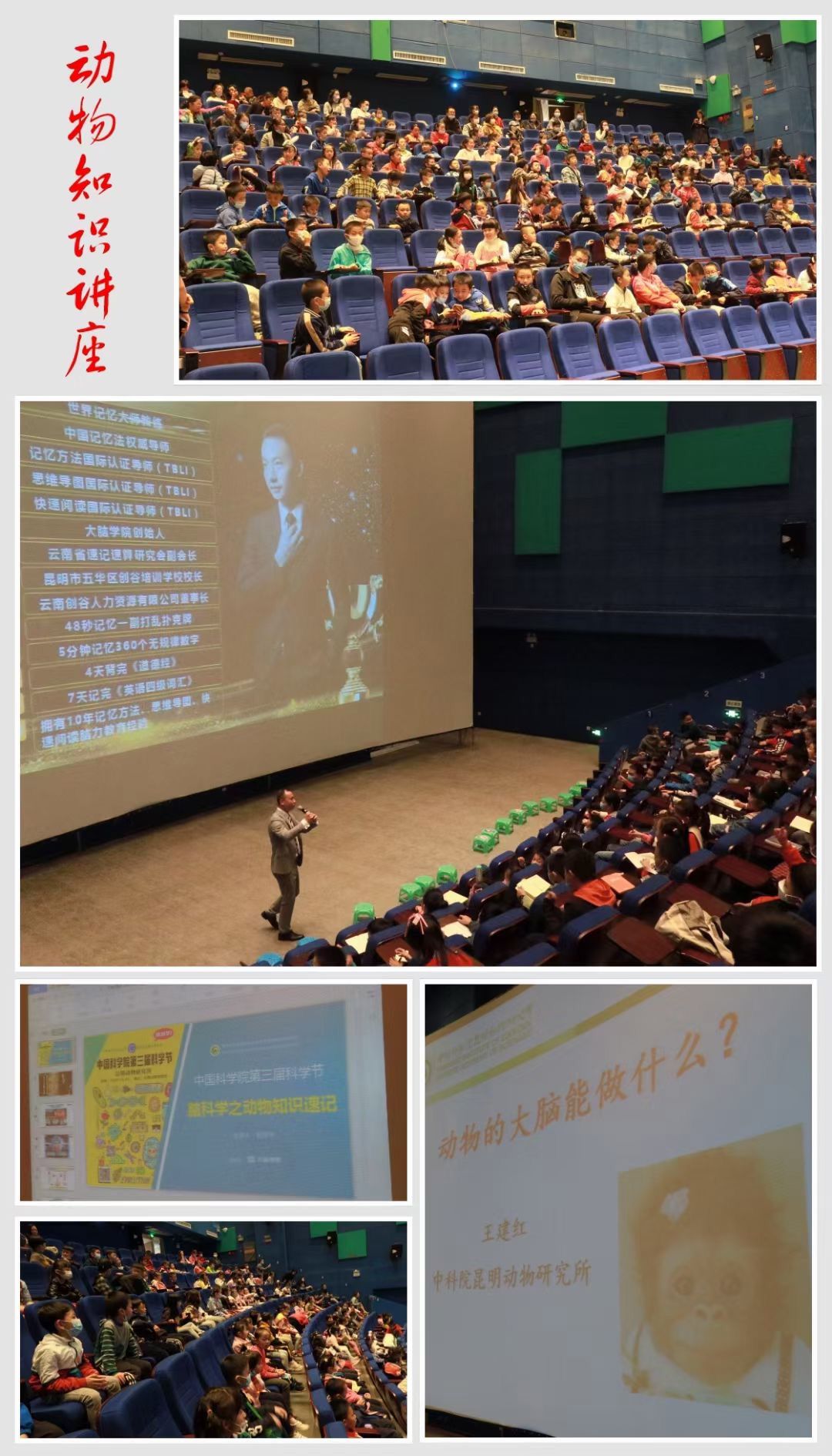 电子游戏app下载安装