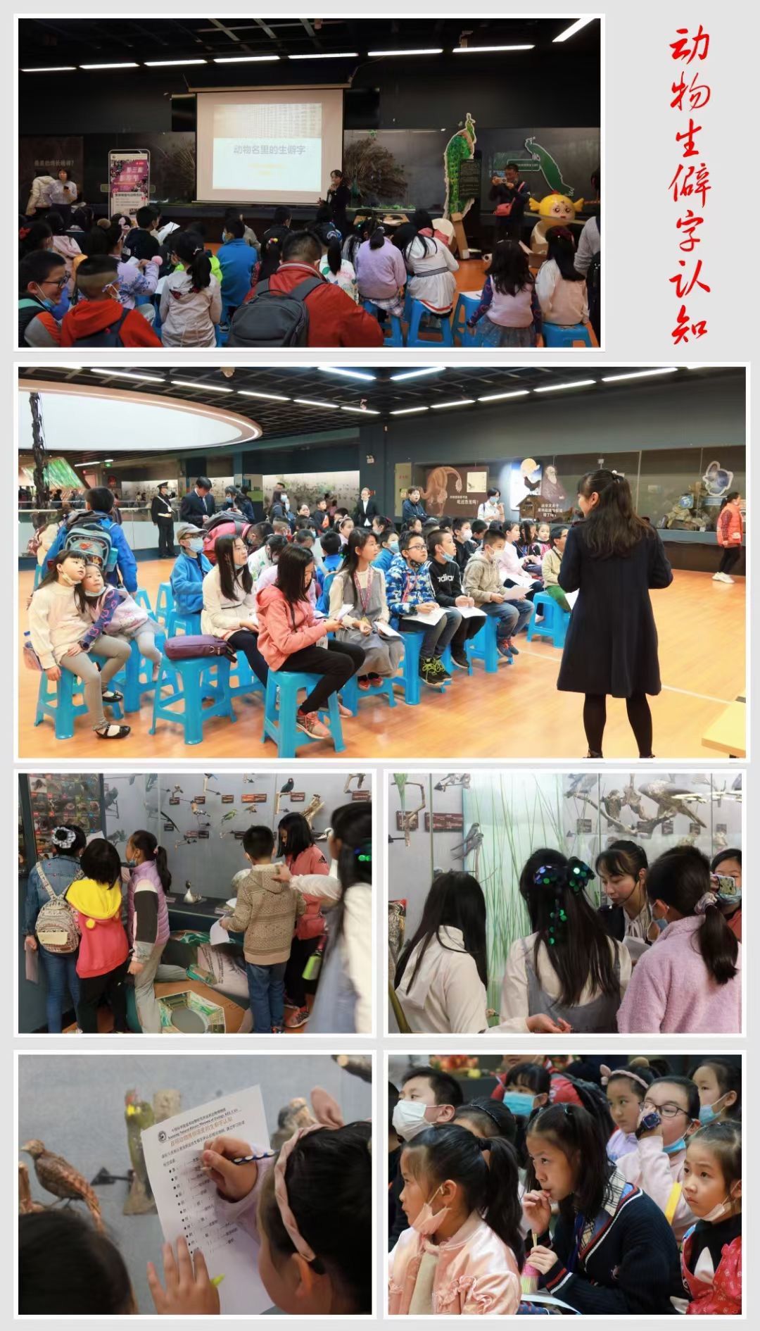 电子游戏app下载安装