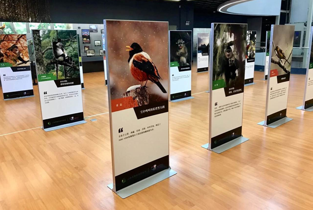 电子游戏app下载安装