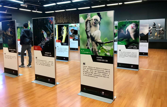 电子游戏app下载安装