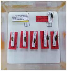 QQ图片20201203142727 电子游戏app下载安装