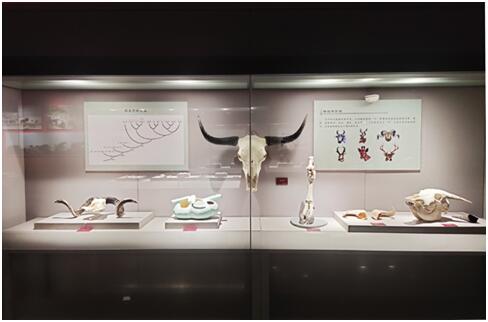 电子游戏app下载安装