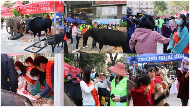 电子游戏app下载安装