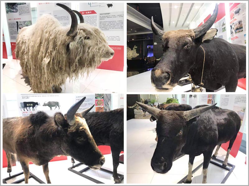 电子游戏app下载安装