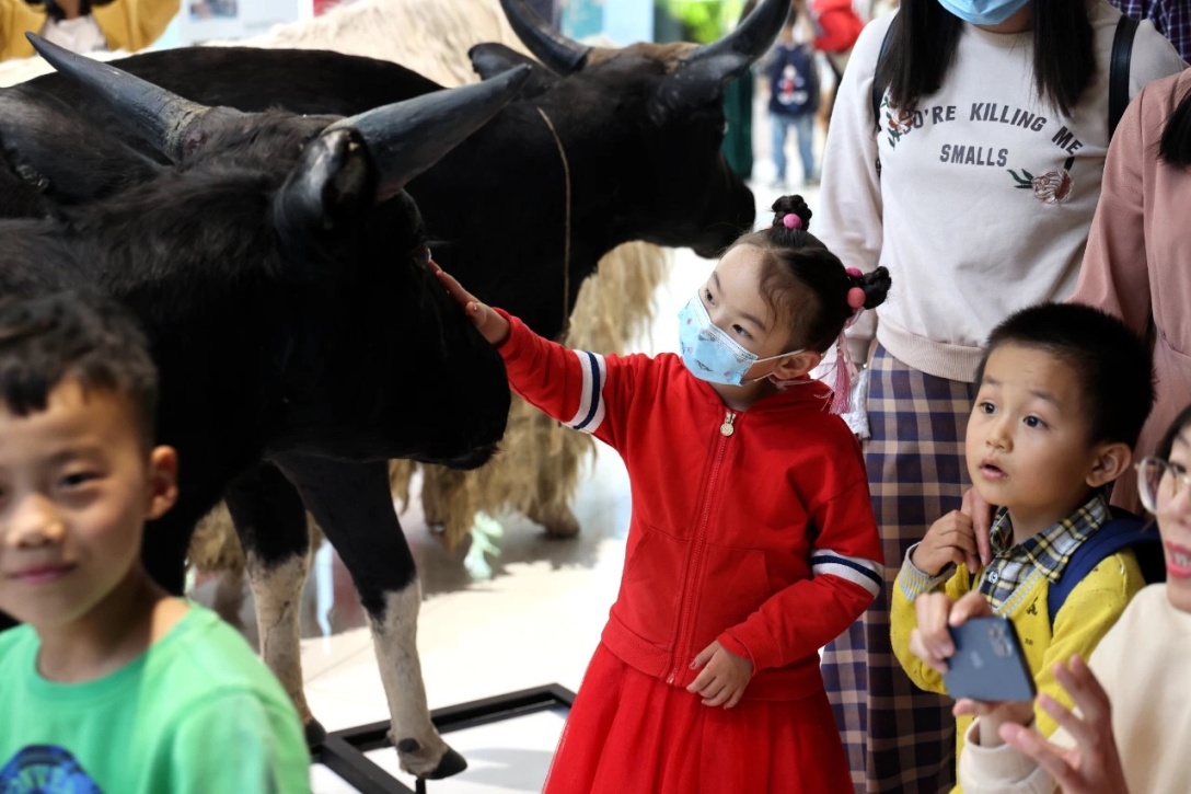 电子游戏app下载安装