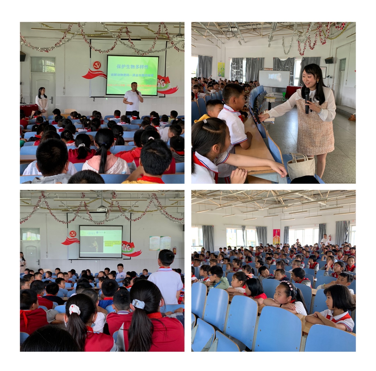 电子游戏app下载安装