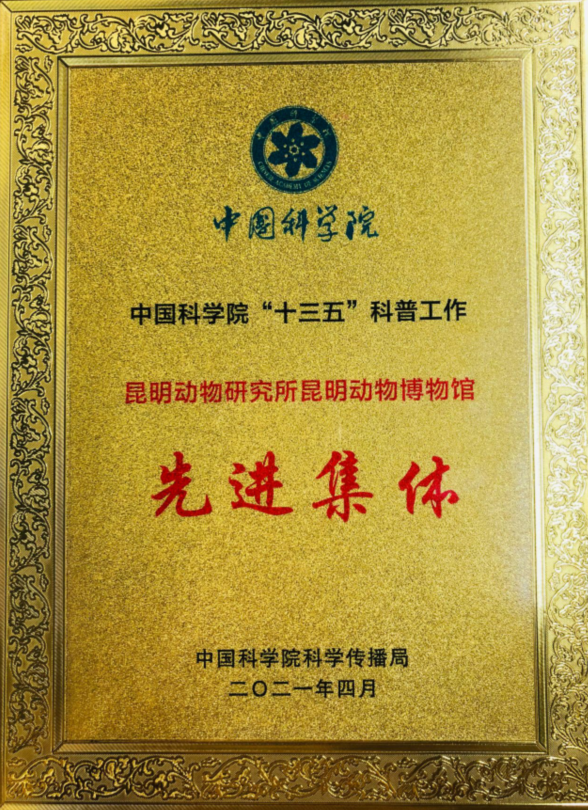 电子游戏app下载安装