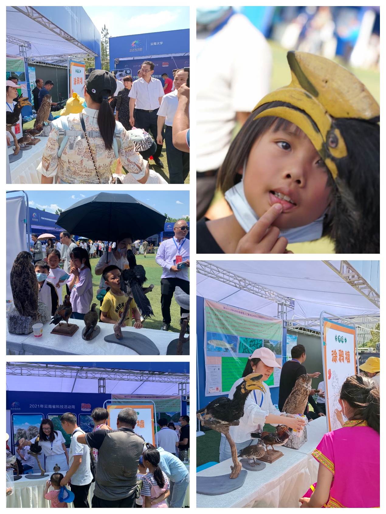 电子游戏app下载安装