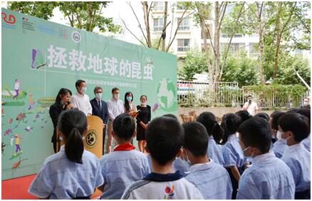 电子游戏app下载安装