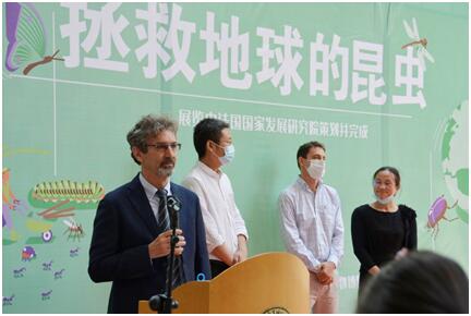 电子游戏app下载安装