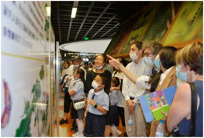 电子游戏app下载安装