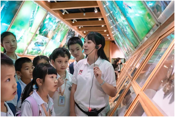 电子游戏app下载安装