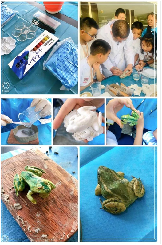 电子游戏app下载安装