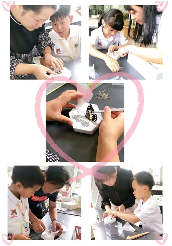 电子游戏app下载安装