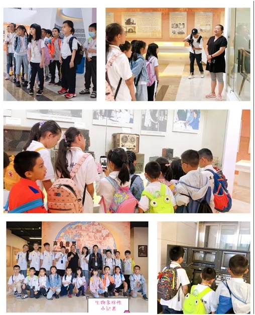 电子游戏app下载安装