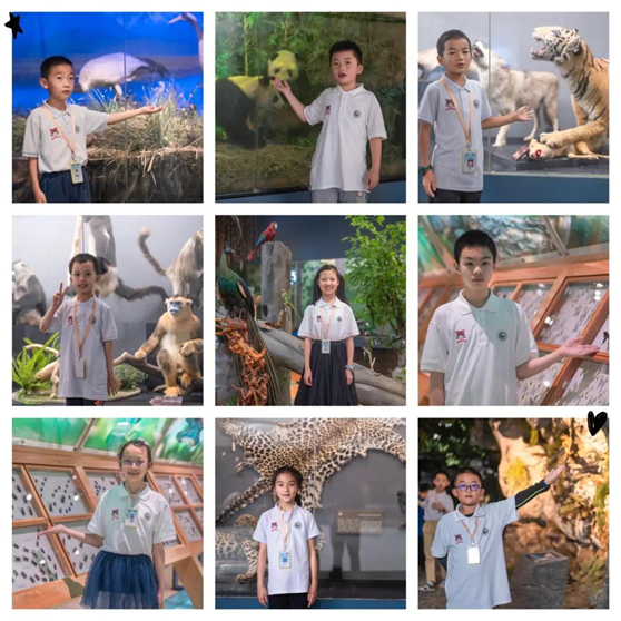 电子游戏app下载安装