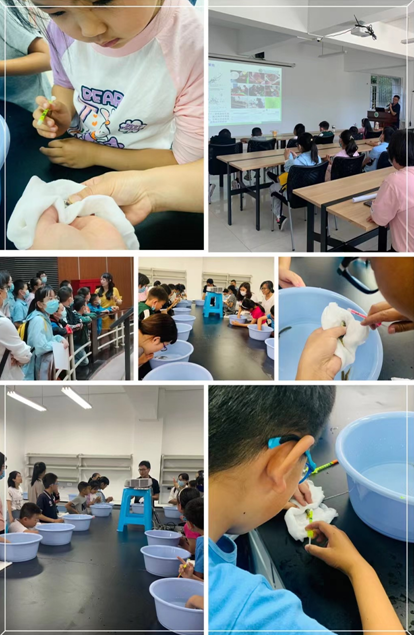 电子游戏app下载安装