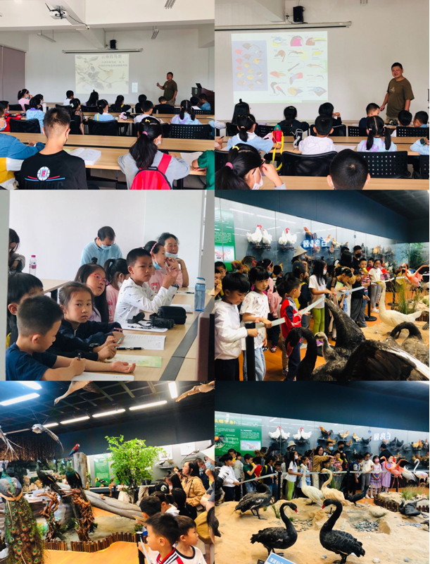 电子游戏app下载安装