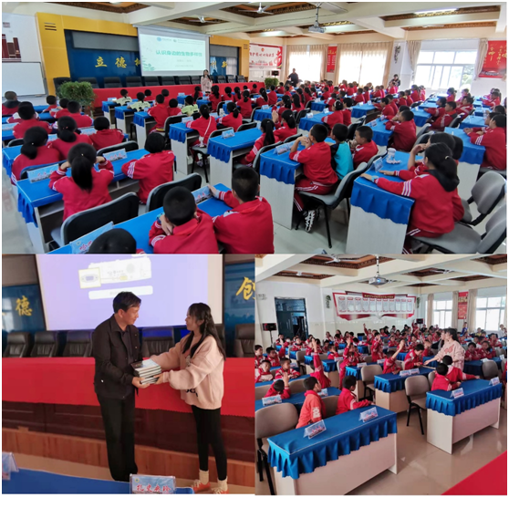 电子游戏app下载安装