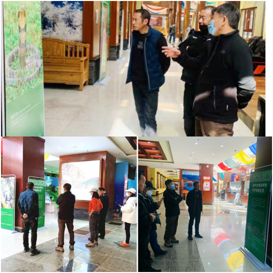 电子游戏app下载安装