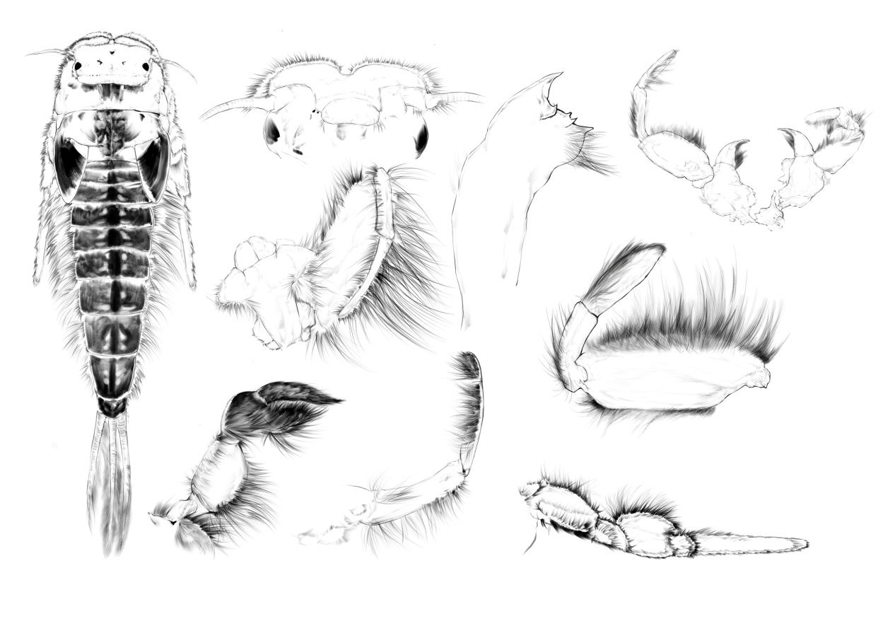 电子游戏app下载安装
