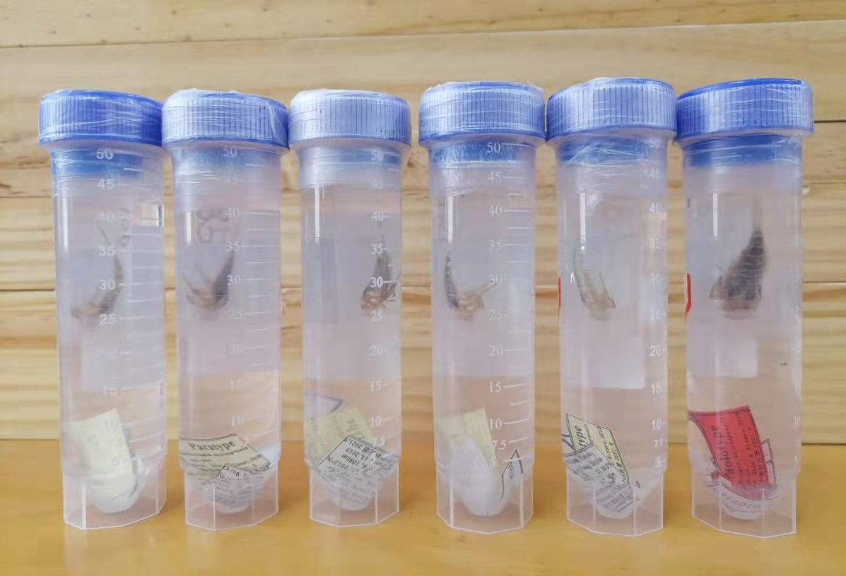 电子游戏app下载安装