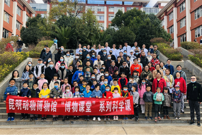 电子游戏app下载安装