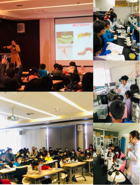 电子游戏app下载安装