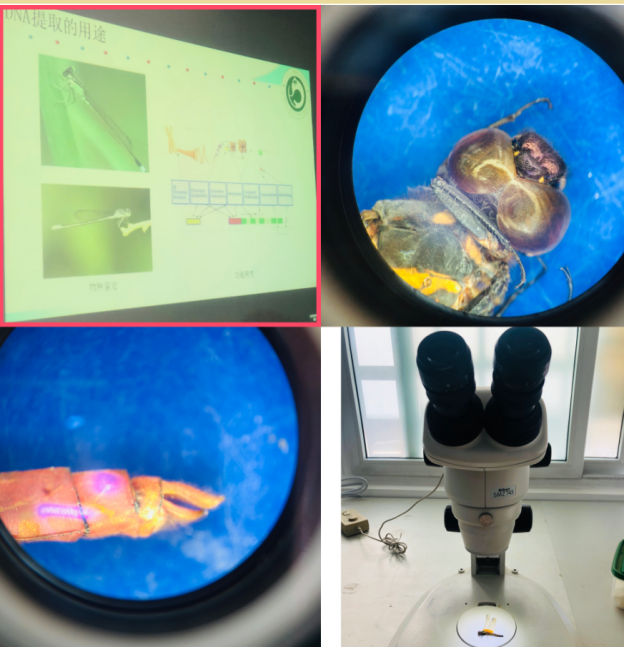 电子游戏app下载安装