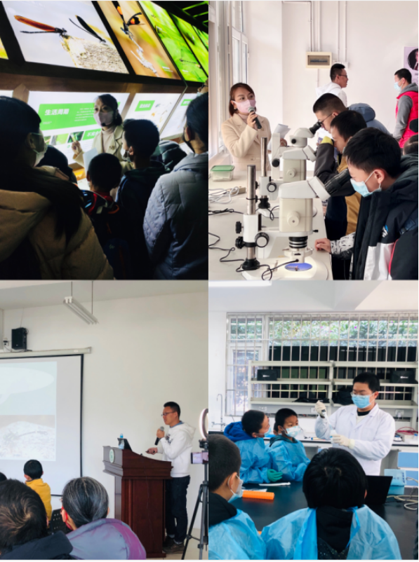 电子游戏app下载安装