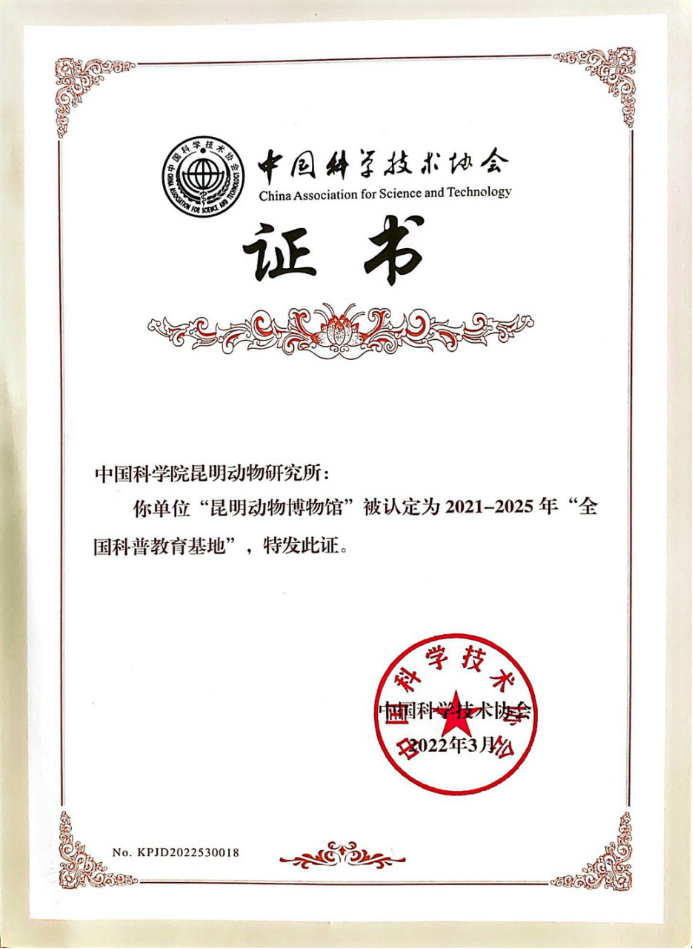 电子游戏app下载安装