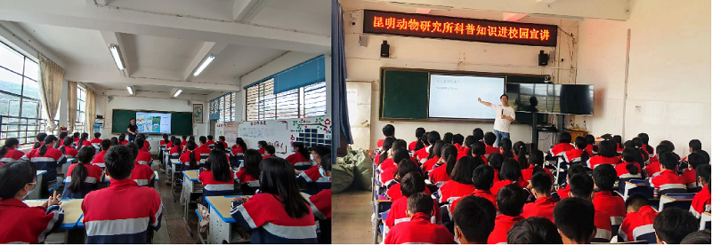 电子游戏app下载安装