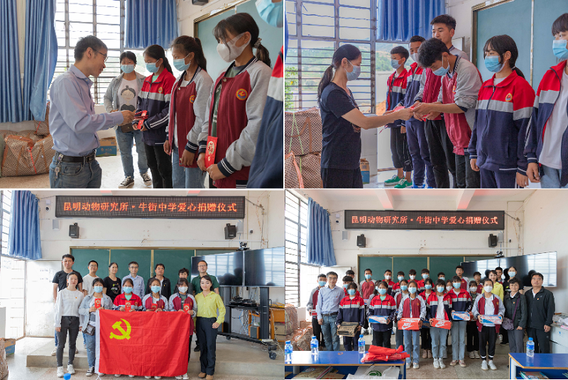 电子游戏app下载安装