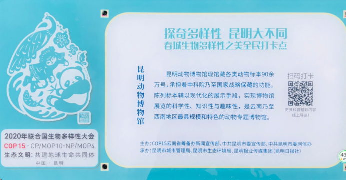 电子游戏app下载安装