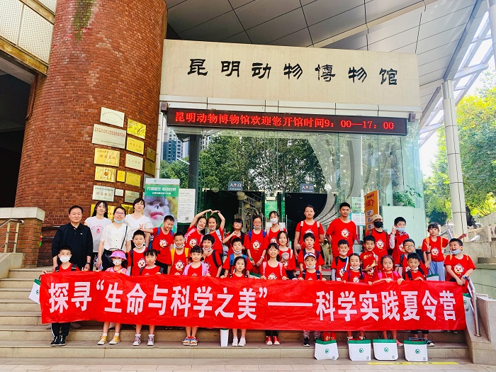 电子游戏app下载安装