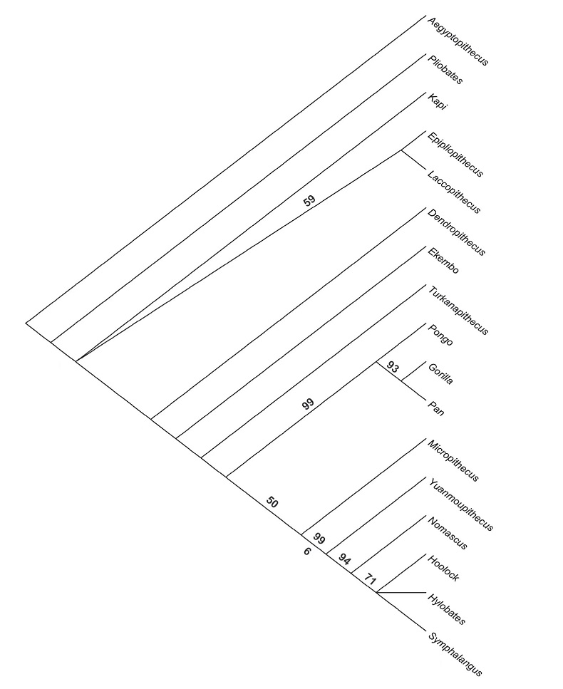 电子游戏app下载安装