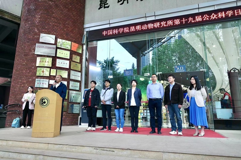 电子游戏app下载安装