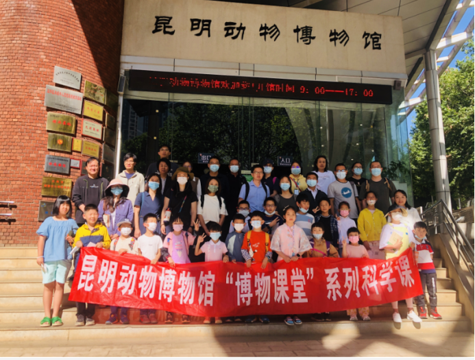 电子游戏app下载安装