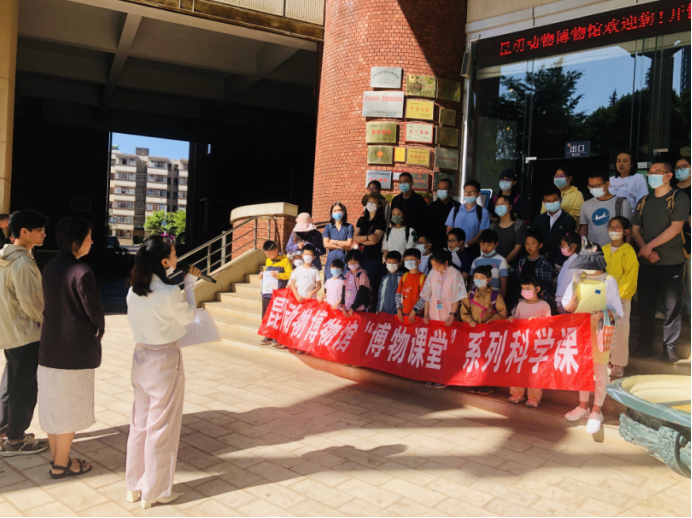 电子游戏app下载安装