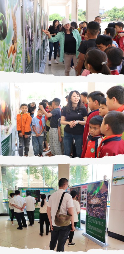 电子游戏app下载安装