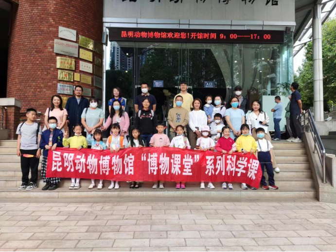 电子游戏app下载安装