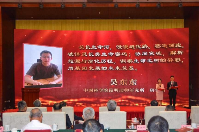 电子游戏app下载安装