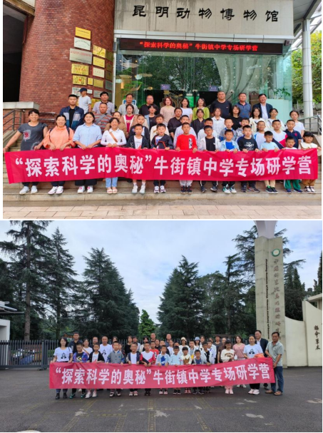 电子游戏app下载安装