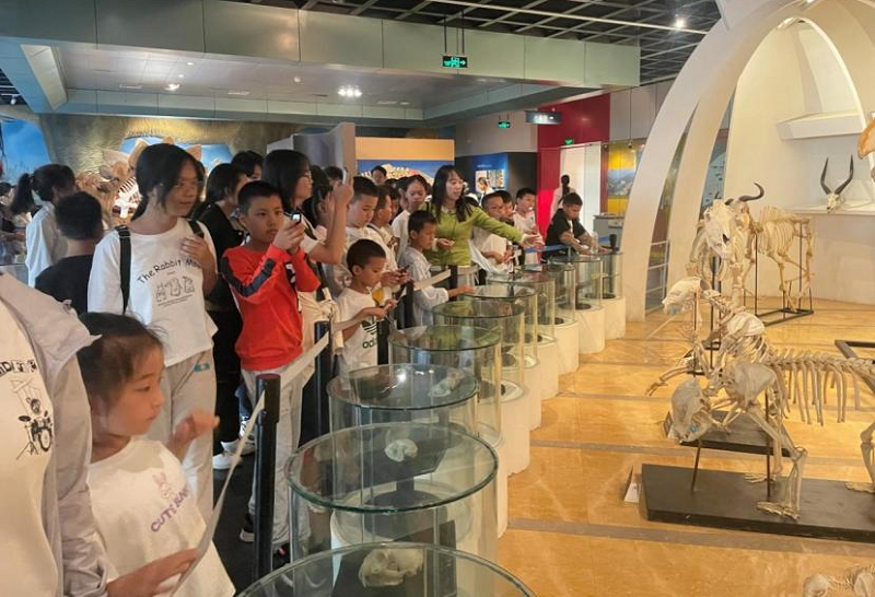 电子游戏app下载安装