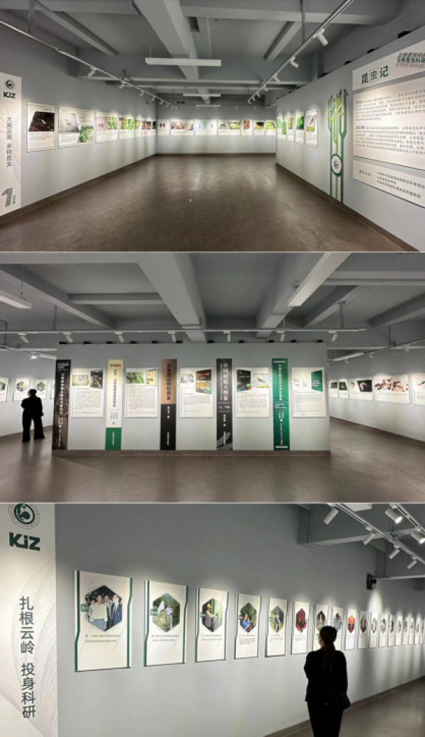 电子游戏app下载安装