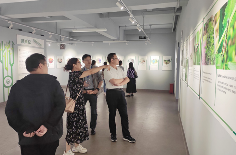 电子游戏app下载安装