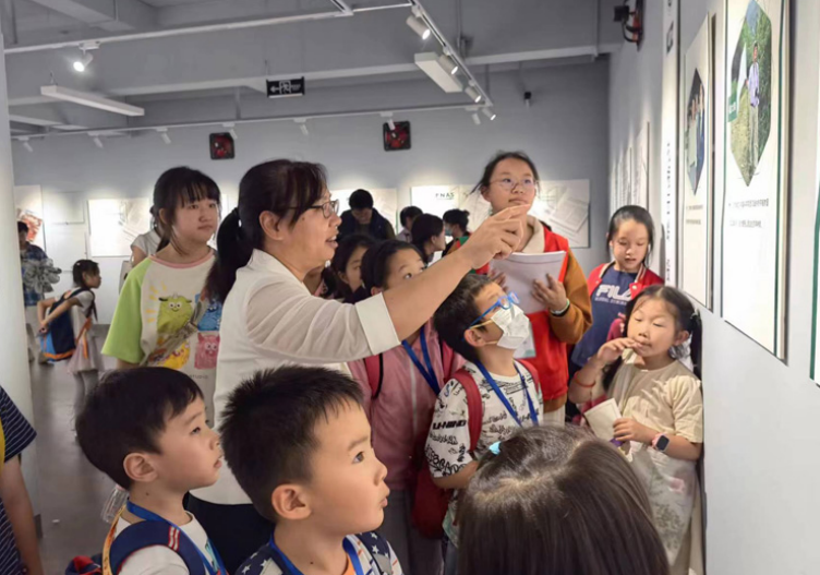 电子游戏app下载安装